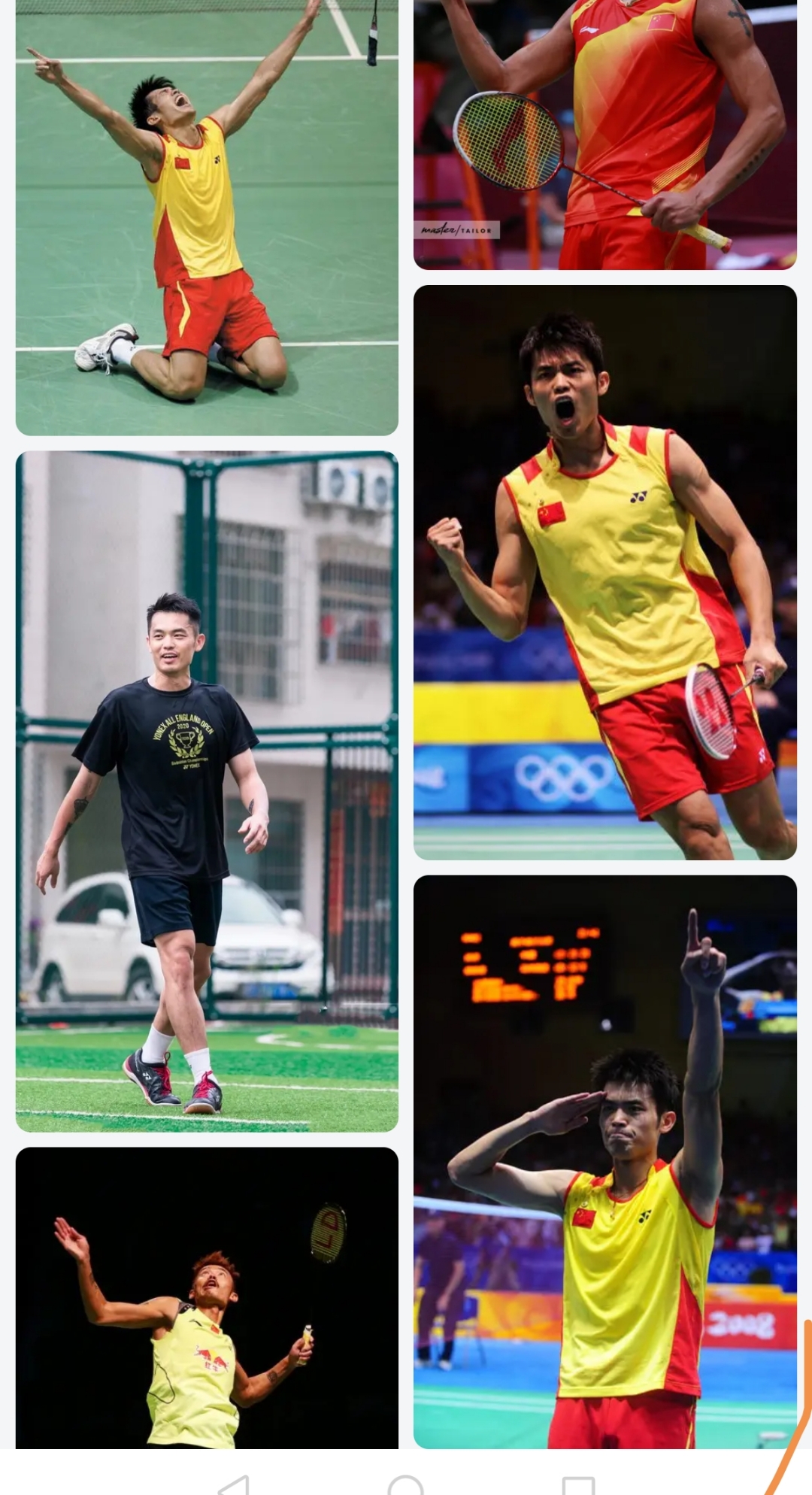 中国羽毛球队碾压韩国羽毛球队，林丹绝境逆转的简单介绍