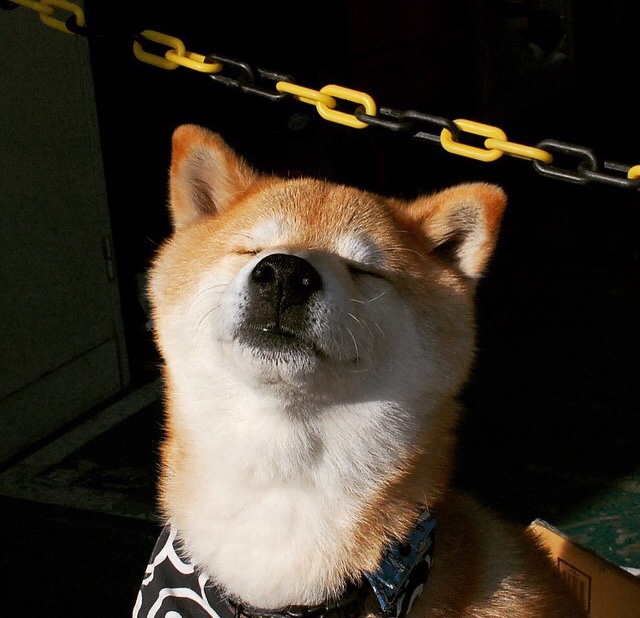 虚拟巅峰对决，浙江队献惊天绝杀，字母哥空砍统治级数据