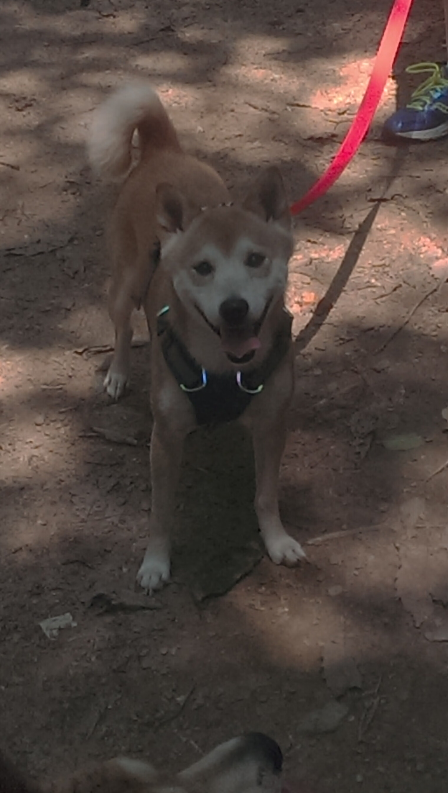 跨越时空的绝杀，当帝国余晖遇见新生利刃