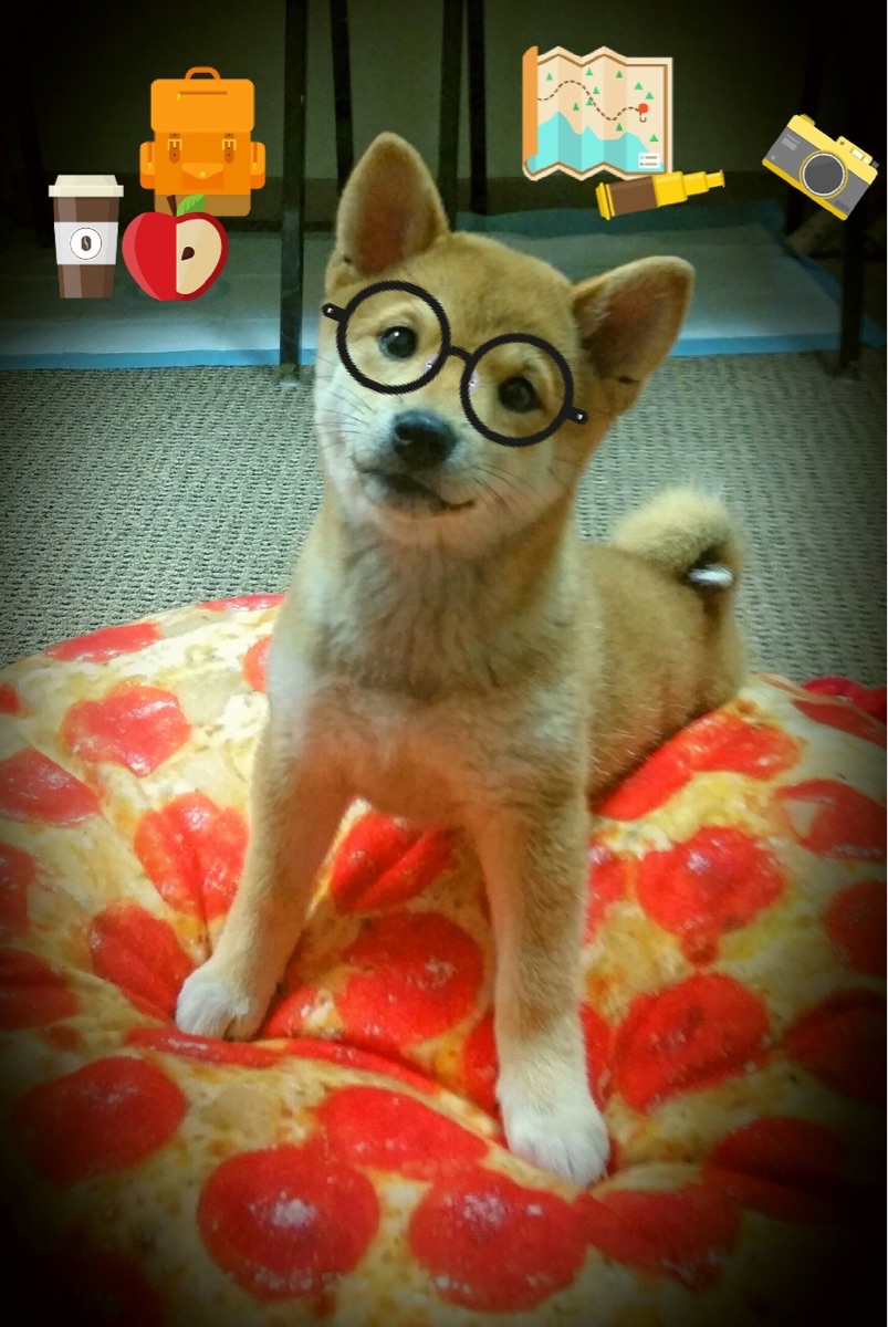 从预言到现实，蒂亚戈一战封神，皇马完胜波兰震撼足坛