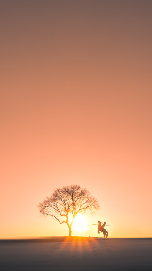 绿茵平行线，瑞士铁骑的团队凯歌与孙兴慜的个人火焰