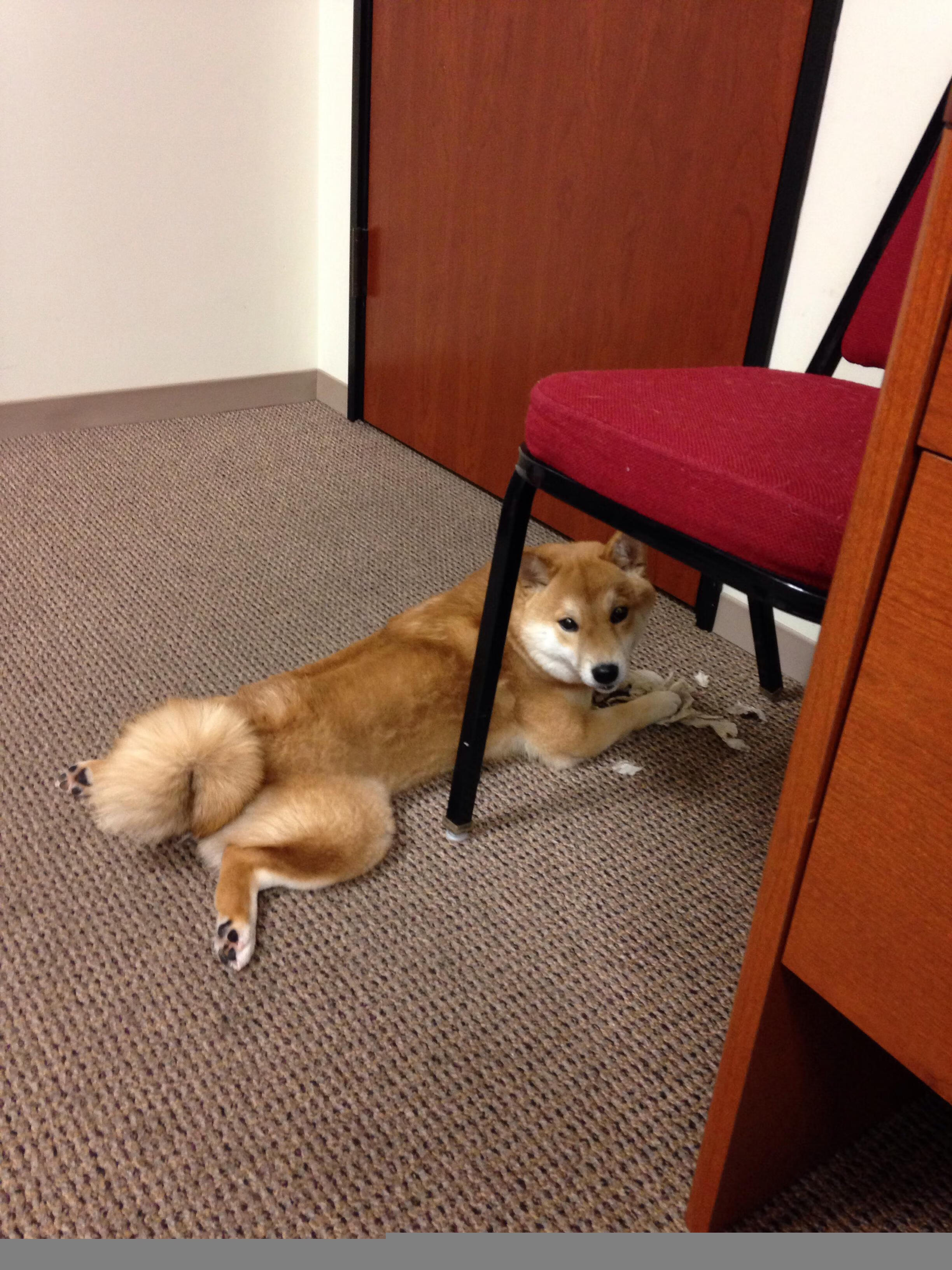 樱花逆袭热带雨林，日本队惊险翻盘印尼，辛杜另一赛场炽热燃烧