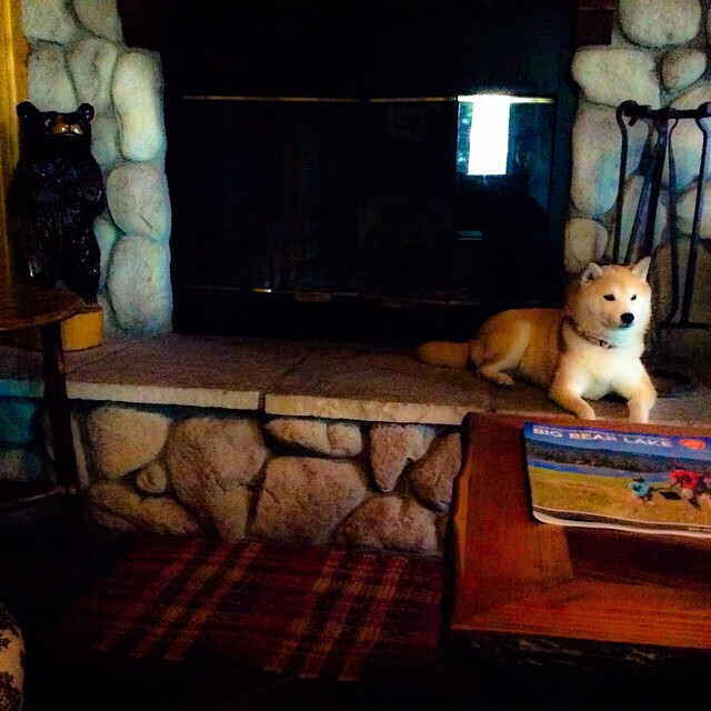 比利时对阵美国,卡塞米罗关键进球定乾坤