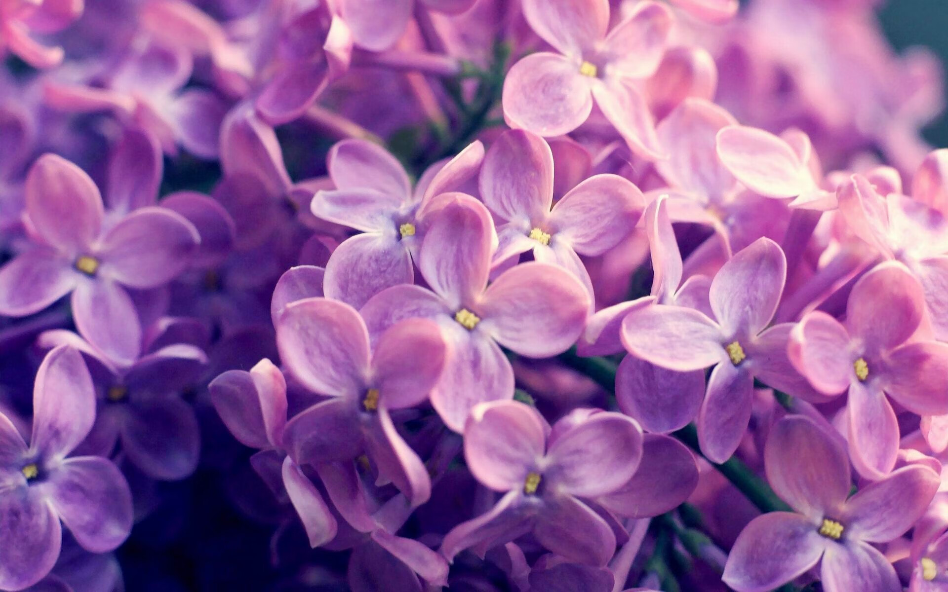 绿洲中的沙漏,切特如何用节奏魔法让新疆队肢解马刺的进攻体系