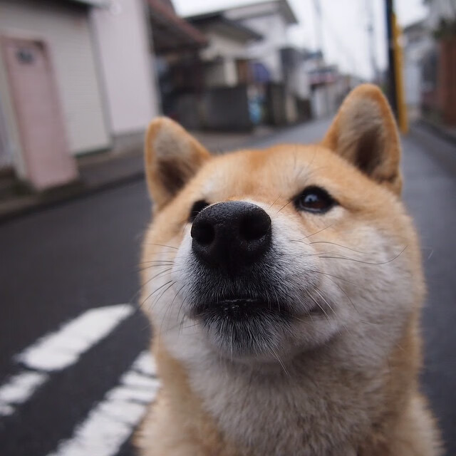 时间裂缝中的绿茵独舞，当法比尼奥在平行宇宙统治了国米与瑞典之战