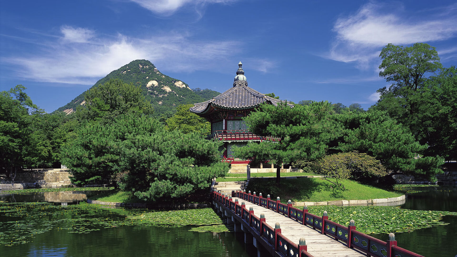 真正的艺术在暗处绽放，霍勒迪的沉默统治