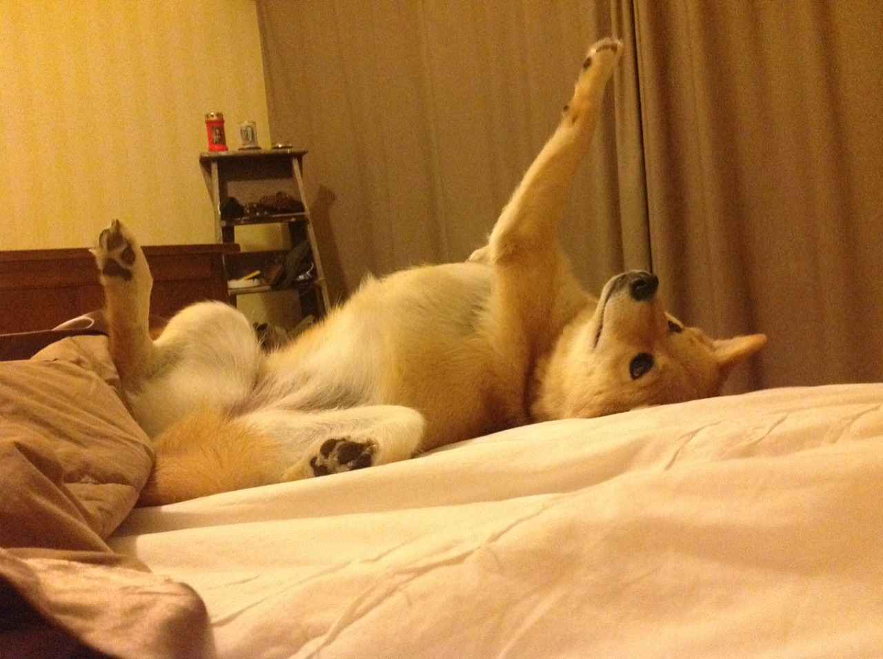 阿根廷的防守封锁线，如何被一道红色闪电撕开？