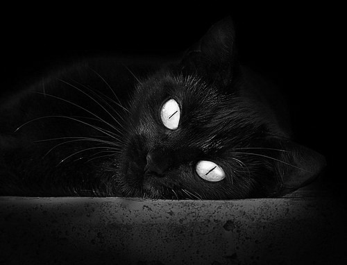 双面神哈登悄然变身,从助攻魔法师到得分终结者的唯一之战