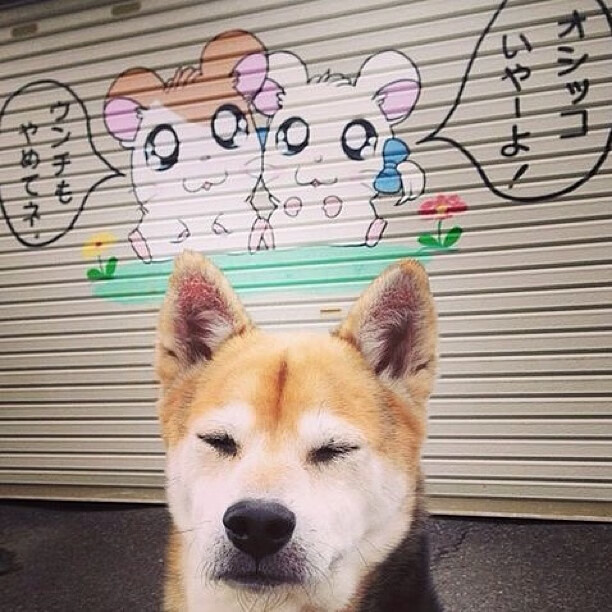 战壕里的艺术与无声惊雷,论篮球比赛的唯一性