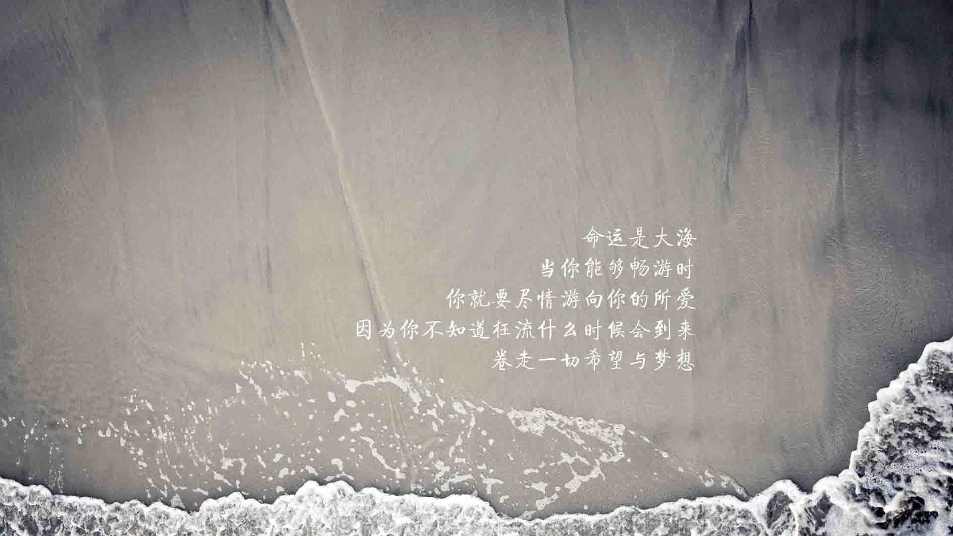 布罗佐维奇,一个人完成一场战争,2026世界杯C组,德国完胜匈牙利背后的唯一边界