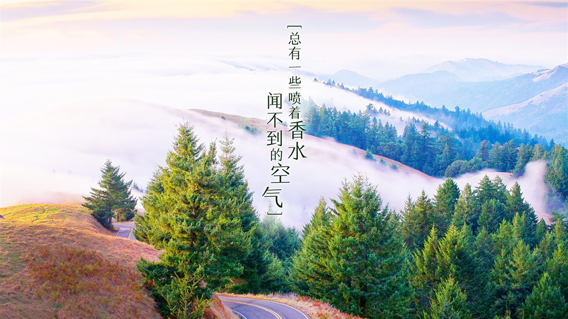郁金香绽放奥斯陆之夜，2026世界杯生死战，荷兰完胜挪威，贝林厄姆导演惊天逆转