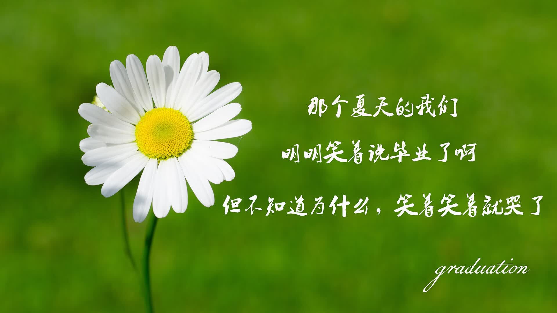独一份的纪录之夜,2026世界杯B组关键战,伊朗铁骑横扫厄瓜多尔,凯恩领袖光芒照亮胜利之路